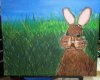 P3264942 bunny.jpg