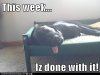 7824C6BD-9064-4B1A-B0EE-1E1EFDF6AA6F.jpeg