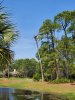 Osprey-nest1.jpg