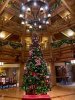 IMG_7730.JPG
