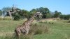 IMG_1406.JPG