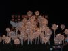 DSCF0037.JPG