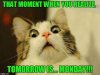 96A90118-E533-46A7-B3D1-71B3B4CF1328.jpeg
