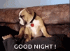 3BFA92F8-A807-420C-BC59-67FFB506ABA0.gif