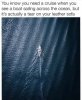 97F75035-401F-4A5A-8D80-4E970BE42425.jpeg