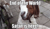 end.gif