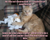 1585627620275.png