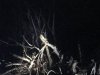 837F06B7-381B-4305-8CC1-4B4184CB63FB.jpeg