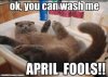 502501CB-069D-42AF-919E-95D43D7E8CEA.jpeg