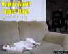 1387959D-D44C-4EF6-AABF-B7F24AE27B9D.gif