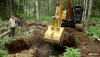 oak dig.gif