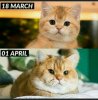 Screenshot_20200402-135053_WhatsApp.jpg
