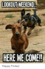 3B3B5413-1E0B-4980-B111-90219BB4B9B5.png