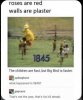 141884D9-817C-4BC1-8BAE-07EF2BA06FFC.jpeg