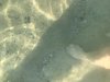 4307D3CC-9911-4E2E-ABC2-BFE0CEA26FAA.jpeg