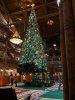 IMG_7745.JPG