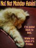 8D562634-C949-47E6-A753-ADD2C66D2AE6.jpeg