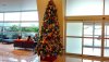 cont BLT xmas tree.jpg