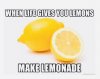 77C833BC-1FC5-430D-AB7E-90E61B92CE5B.jpeg