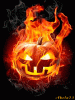 pumpkin.gif