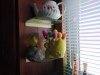 20200410_122851.jpg