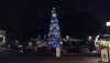 america xmas tree night.jpg