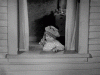 22F5E24B-B285-4F4C-802C-DCBF7E0A7230.gif 22F5E24B-B285-4F4C-802C-DCBF7E0A7230.gif