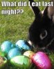 6CFF02E9-0FAE-4F2C-B6FF-2AD1123940E3.jpeg