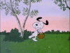 70E11D98-BD44-4512-BB5E-4B5938600ED9.gif
