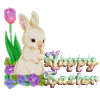 A2B73F8D-3AD8-4CF4-8503-FD52E38C80CD.gif