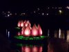 100_0973.JPG