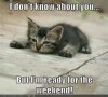 AAC237B2-CE45-4352-BB95-C0565D4961DB.jpeg