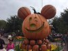IMG_2443.JPG IMG_2443.JPG