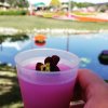 IMG_20180503_074455_395.jpg