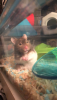 9E681E5E-856A-46F6-87DD-A07417D52552.png