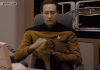 cat.gif