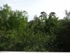 DSC03605.JPG
