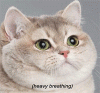 6640A470-7AEE-4CC9-8546-DB4CCA3FFB4C.gif