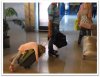 thumbnail_image002.jpg
