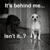6616242B-6CF2-4A26-B44F-C0B7203ED8B5.jpeg