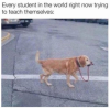 20200428_000954.png