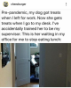20200501_010221.png
