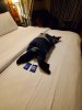 disboards night1-4.jpg