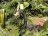 18-9310-AK_DiscIsland swan 9310.jpg