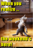 0B0C1C6E-EE8F-4AF4-875D-E96518239810.png