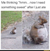 492288