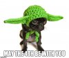 73ED8495-C76D-4DE0-9623-F6B5CC79B67F.jpeg