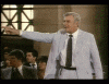 ExemplaryFavorableHoki-max-1mb.gif