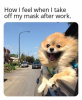 492998