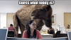 hump_day.gif